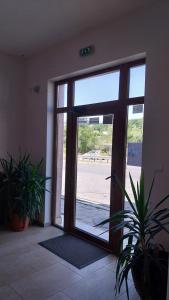 Студио Аглая