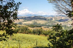 Italian Experience-La Pineta Holiday Homes