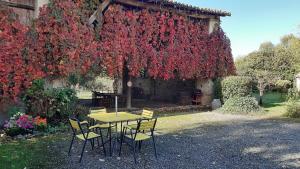 Maisons de vacances Maison Toulousaine T4 proche de Toulouse : photos des chambres