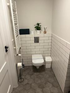 Apartament TULIP Chełmońskiego Śrem