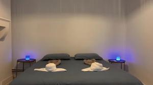 Chez Laurent Central - Climatisé - Luxe