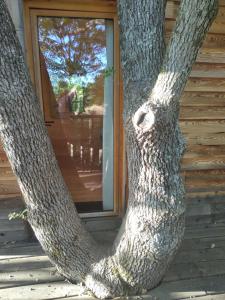 Chalets Cabane de la Bannette - Magnifique cabane dans les arbres, vue panoramique : photos des chambres