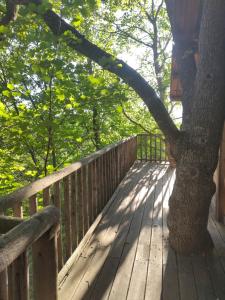 Chalets Cabane de la Bannette - Magnifique cabane dans les arbres, vue panoramique : photos des chambres