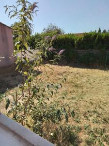 Maisons de vacances Ventoux beautiful quiet house : photos des chambres