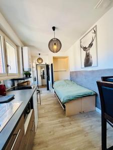 Appartements Le Victor Hugo : photos des chambres