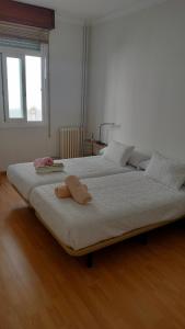 Mirador San Rosendo, TOP Location