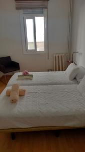 Mirador San Rosendo, TOP Location