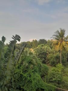 Cozy escape in Diani darad