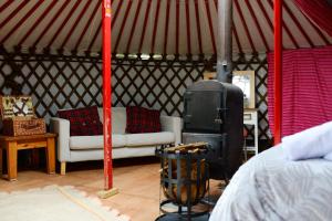 Escape to a cosy Yurt Retreat