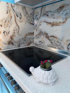 One bedroom apartament- with balcony