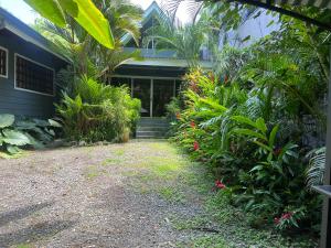 Casas Guaney, full furnished studios!