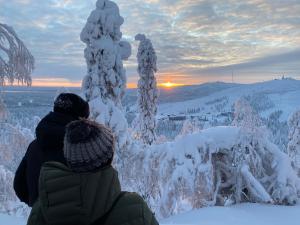Villa Tykkylä Ruka - ski, nature & peace, sauna, fast wifi