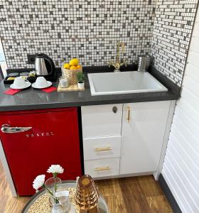 Ağva Nehir Kenarı TinyHouse Jakuzili