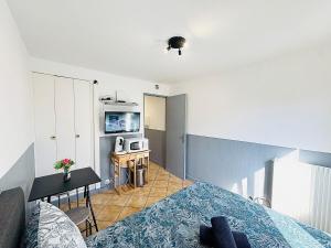 Appartements Superbe Studio a 300 metres Gare : photos des chambres