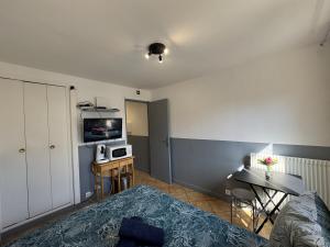 Appartements Superbe Studio a 300 metres Gare : photos des chambres