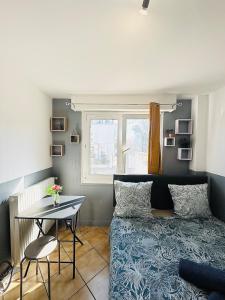 Appartements Superbe Studio a 300 metres Gare : photos des chambres