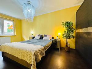 Apartament Kryształowy - Kołobrzeg