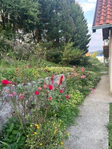 Vila Rada, Kadinjača