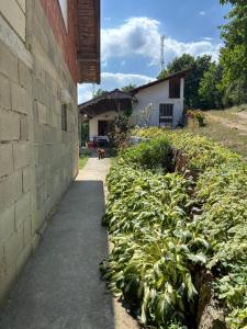 Vila Rada, Kadinjača