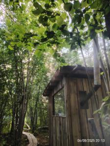 Off-grid forest glamping