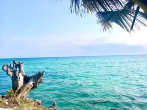 Miska Zanzibar