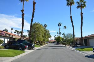 Desert Oasis in Palm Desert