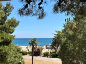 Face à la mer, T2 vue incroyable