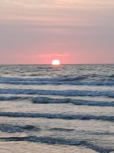 Toplocatie! Strand 300 meter en prachtig uitzicht op de duinen, no additional costs