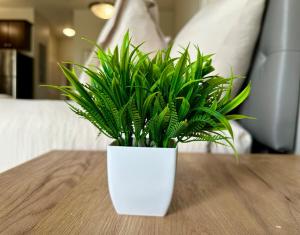 Cozy Downtown Loft with Balcony