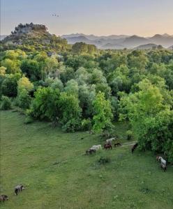 Apartman Žabljak Crnojevića