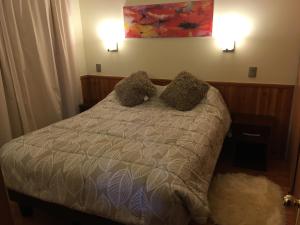 Departamento Pucón Camino Volcán