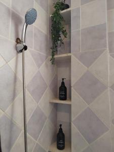 وادي العقيق 202