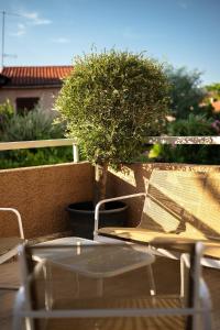 Appartements Calme et lumineux a 5min du port et des plages : photos des chambres