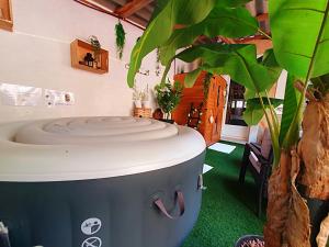Appartements Studio19 Cosy Sauna Jacuzzi et jardinet privatifs : photos des chambres