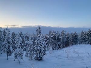 Hillside Polar Villa