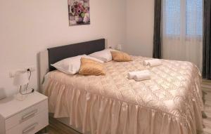 Three-Bedroom Holiday Home In Vinjani Gornji