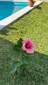 Bonita casa nueva con alberca climatizada y aire acondicionado en Oaxtepec Morelos