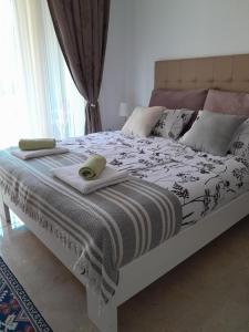 Apartment Rosa Brandis