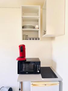 Appartements Studio pour 2 pres de la gare : photos des chambres