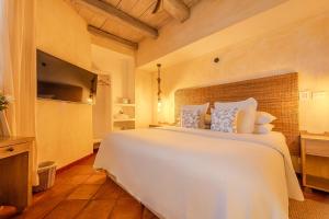 Moet Cartagena Hotel Boutique Adutls Only