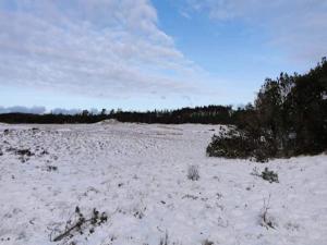 5 person holiday home in Ålbæk-By Traum