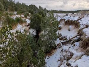 5 person holiday home in Ålbæk-By Traum