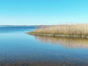 2 person holiday home in Ringkøbing