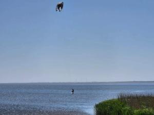 2 person holiday home in Ringkøbing