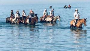 شالية في منتجع أوسس مارين الغردقة