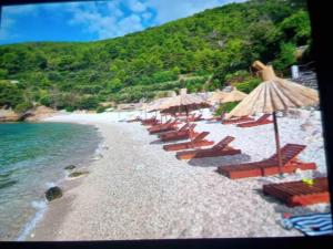 Holiday home Viki - One Bedroom House