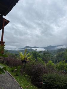 รักเขาอินทนนท์โฮมสเตย์ Doi inthanon Homestay