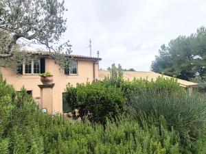 Apartment in Umbria near Vineyards