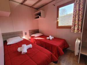 Chalet accessible avec terrasse à Coulon - API-1-52-596