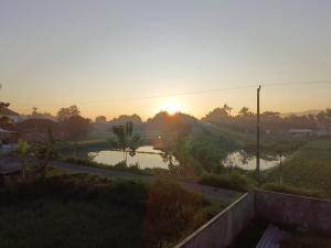 Kangen Sawah Cottage Syariah